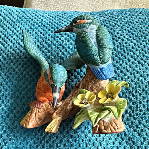 Leonardo kingfisher mounted - leonardo,