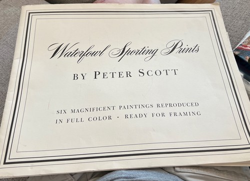 1953 peter scott - 1953,