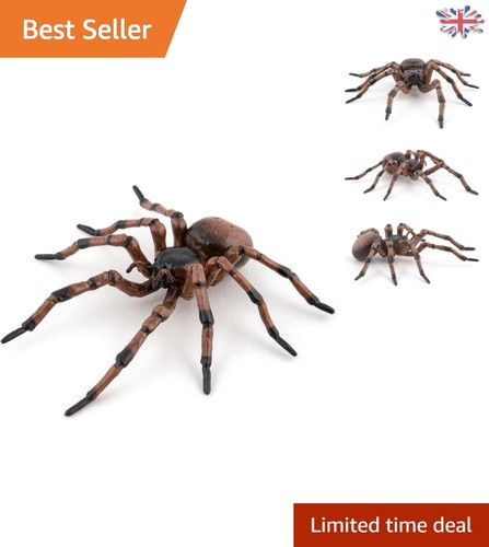 Ultra realistic spider - ultra-realistic,
