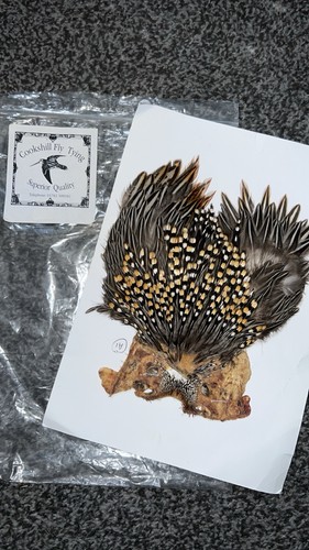 Jungle cock cape - jungle,