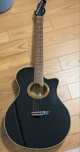 Yamaha apx electric - apx-6s,