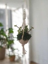Dolls House Hanging Basket