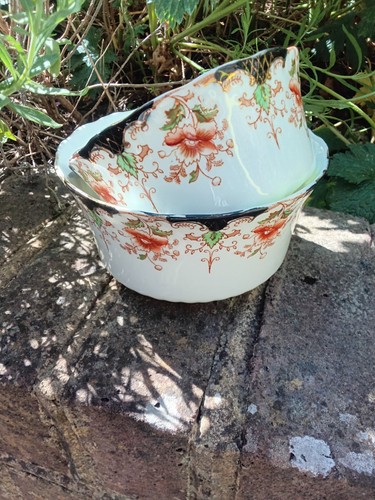 Vintage alton wellington china - alton,