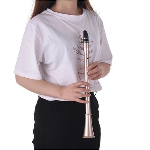 Mini pocket saxophone - mini,
