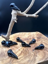 Crystal Raven Skull Black
