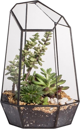 Opened geometric glass - opened,