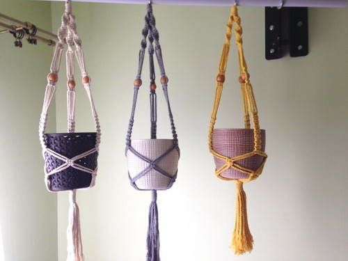 Macrame plant hangers - plant,