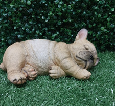 Dog 7cm x 16cm x 10.5cm latex