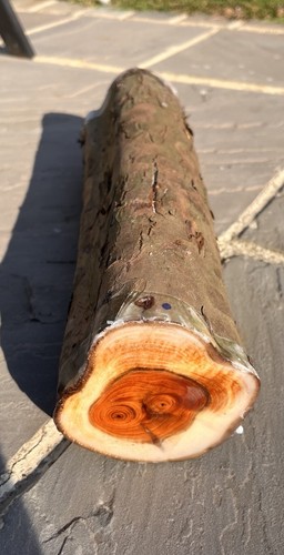 English yew woodturning - yew, woodturning/wood