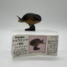 Kaiyodo Furuta Choco Q Pet Animal 1 Ranchu Black Goldfish Fish Figure A