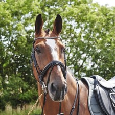 John Whitaker Barton Bling Flash Bridle inc Rubber Reins