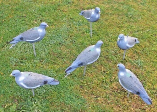Garden pest pigeon decoy - pigeon, 6pc