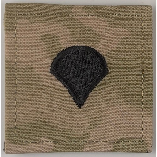Specialist ocp rank - specialist,