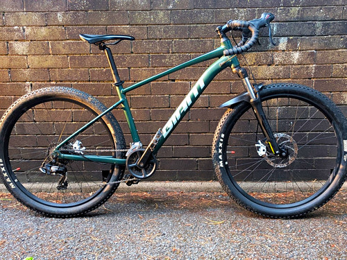 Giant talon custom - talon,