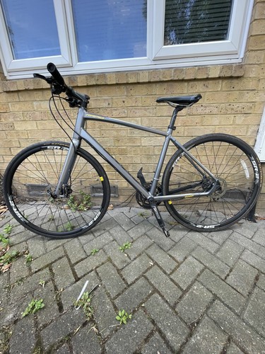 Giant rapid hybrid - rapid, 1