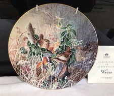 Coalport Winter Wrens