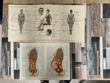 Two Old Medical Book Prints.