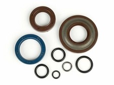 Oil Seal Set Engine VITON E10