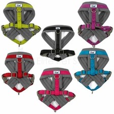 Ancol Viva Padded Dog Harness