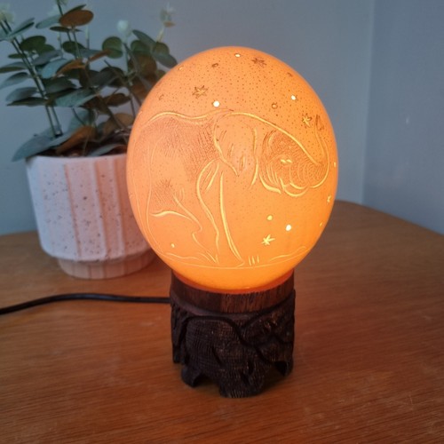 Hand carved ostrich egg - carved,