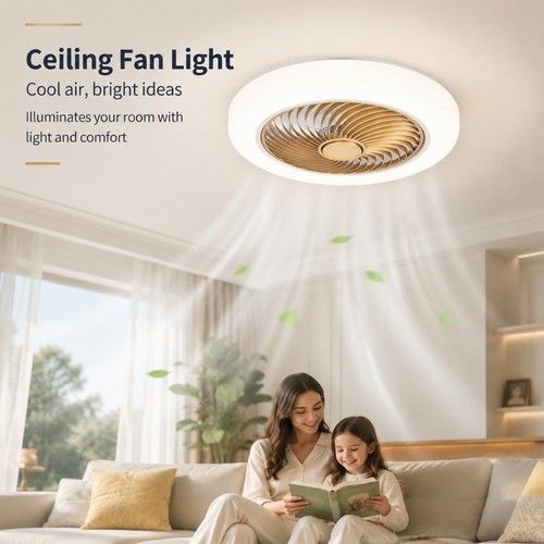 Variety ceiling fan light - fan,
