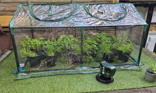 Mini garden greenhouse - garden,