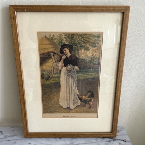Rare 1880 frank leslie - rare,