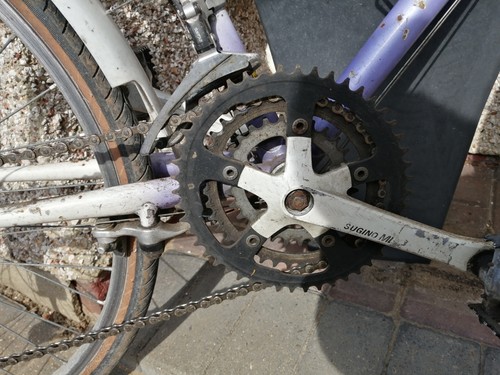 Muddy fox courier bicycle - courier,