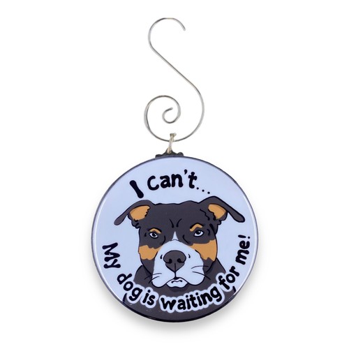 Black tricolor pit bull - tricolor,