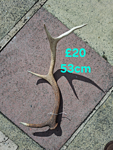 Single naturally shed red - shed,