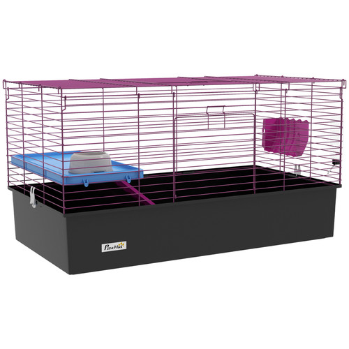 Rabbit guinea pig chinchillas - guinea,
