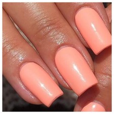 The Gel Bottle Inc Genuine Professional Vegan Gel Polish TGB NEW HUBBA BUBBA