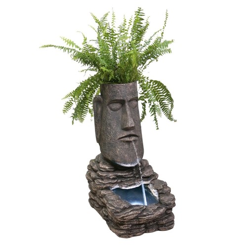 Primrose easter island solar - easter,