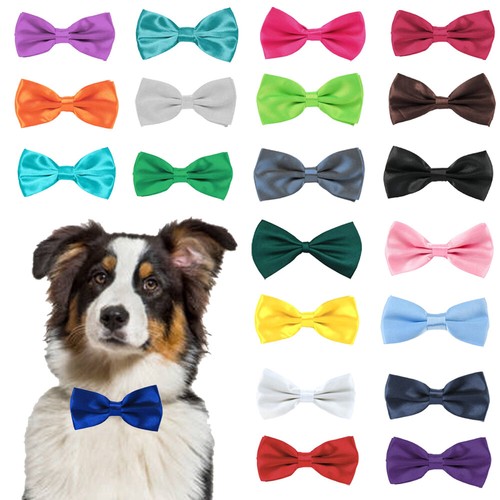 Dog bow tie pre tied - dog,