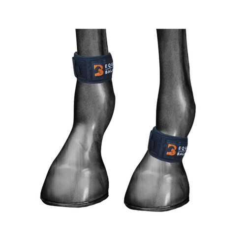 Magnetic pastern wraps - pastern,