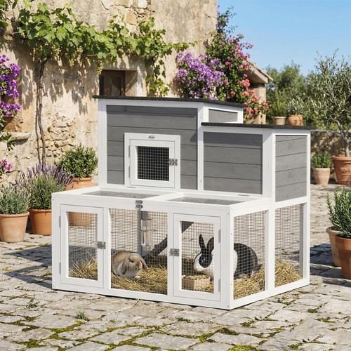 Wooden rabbit hutch indoor - rabbit,
