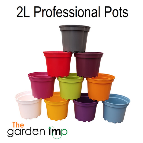 Coloured plastic plant - 20, 2l