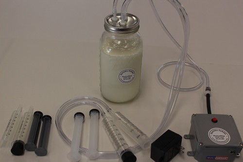 Goat sheep cow vacuum pulse - goat, vacuum-pulse