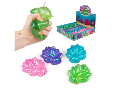 Sea sheep sugar - sea,