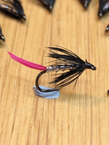 Fly fishing trout - fly,