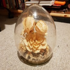 Glass Display Bell Jar Dome
