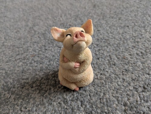 Leonardo collection pig - collection,