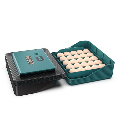 Eggs incubator with - 20-25,