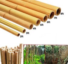 Strong Thick Stake Pole Bamboo Stick Flower Plant Support Garden Canes 2FT-6FT