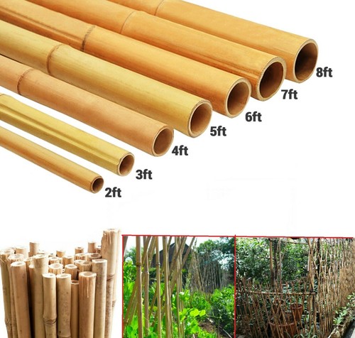 Strong thick stake pole bamboo - stake,