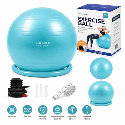 65cm exercise ball swiss - exercise, gym