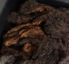 BIG Box of Unwashed Raw