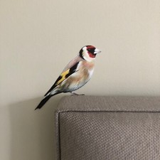 Charming Goldfinch Wall