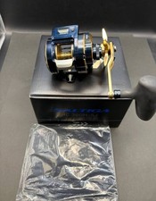 Daiwa 21 Saltiga IC 300H SJ