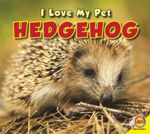 Hedgehog love pet aaron - my,